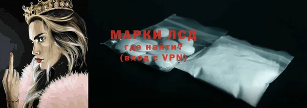 индика Баксан