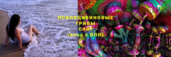 индика Баксан