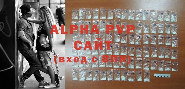 индика Баксан