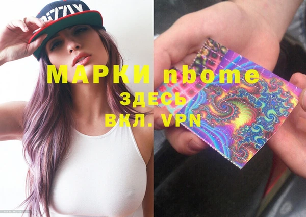 индика Баксан