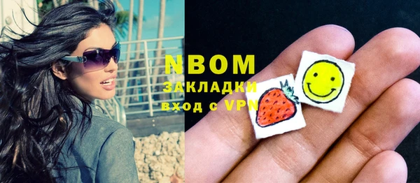 индика Баксан