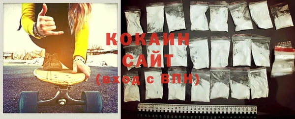 индика Баксан