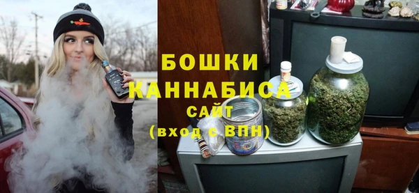 индика Баксан